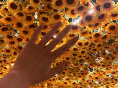-上海梵高星空艺术馆(南京路旗舰店)