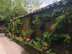 -青城甲(青城山店)