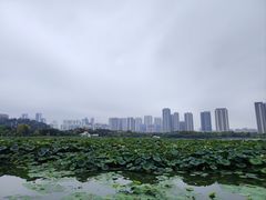 -月湖风景区