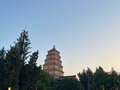 -大嘻咹biangbiang面(历史博物馆店)
