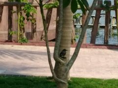 -揭东万竹园旅游景区