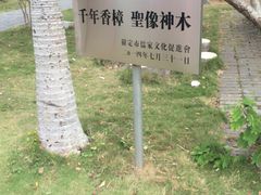 -罗定学宫