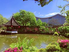 -上海醉白池公园