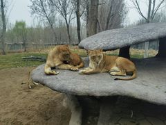 -北京野生动物园