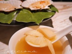 -汤城·料青山