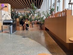 -Seesaw Coffee(朝阳大悦城店)