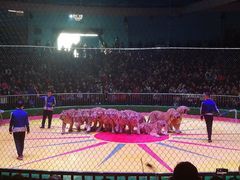 -西安秦岭野生动物园