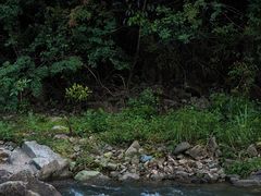 -志闽龙门漂流