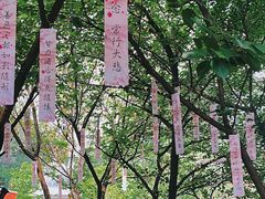 -西安大兴善寺