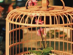 手撕脆皮鸡-佬麻雀·剁椒鱼头(京基KK One店)