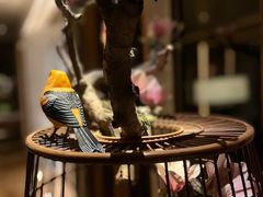 -浅深(北京北四环精品店)