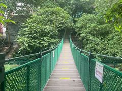 -西双版纳原始森林公园