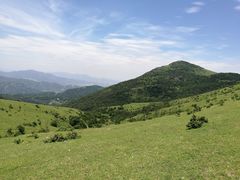 -大姆山草场