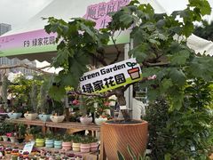 -顺峰山公园