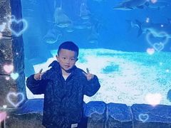 -多彩贵州城极地海洋世界