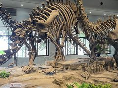 -自贡恐龙博物馆