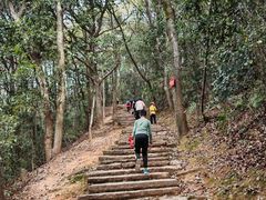 -西湖风景区十里琅珰-五云山