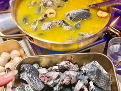 -Darling Queen·Mini·Live·House