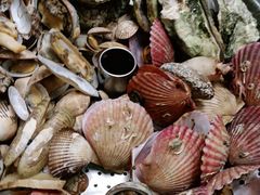 -永红源啤酒·烧烤·海鲜·大排档(青特城店)