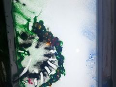 -中国宋庆龄青少年科技文化交流中心