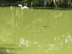 -人民公园(罗湖区)