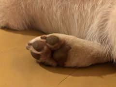 -柴の食堂·日式家庭料理·熊之肆(大学路店)