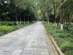 -灵谷景区