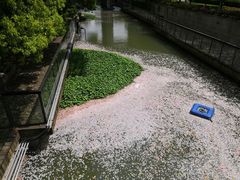 -全家便利店(兴源北路店)