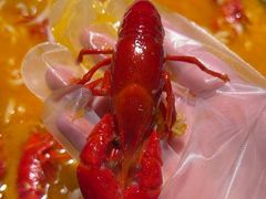 -沪小胖·小龙虾·蓝龙王(八佰伴店)