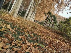 -河南省黄河迎宾馆