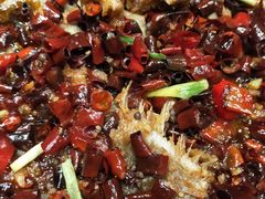 -老板恋上鱼(恒隆广场店)