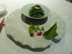 -西郊5号·Maggie 5