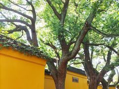 -西园戒幢律寺