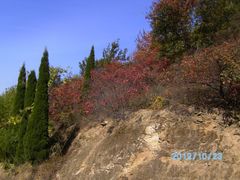 -鲁山国家森林公园