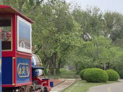 -永定河休闲森林公园