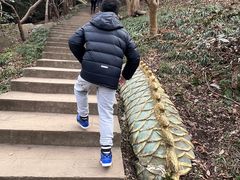 -紫金山山顶公园