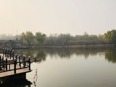 -古塔公园