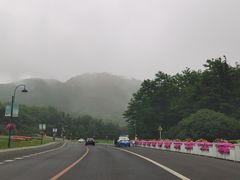 -棒棰岛宾馆景区