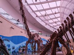 -陕西自然博物馆