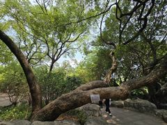 -晓港公园