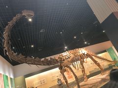 -衢州市博物馆