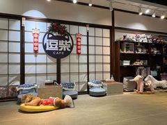 -逗柴咖啡屋·狗咖猫咖宠物桌游
