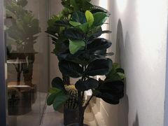 -喜茶(中山利和新地店)
