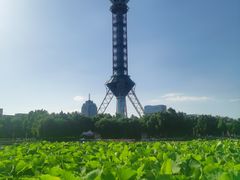 -裕华世纪公园