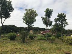 -鹤之洲湿地公园