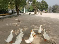 -Club Med地中海俱乐部·桂林度假村