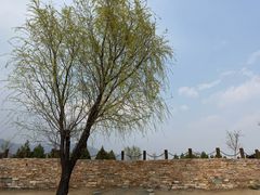 -白水寺森林公园