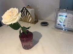 -伊斯坦布尔土耳其清真咖啡餐厅