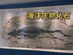 -重庆欢乐海底世界
