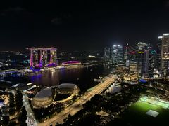 -新加坡瑞士史丹福酒店